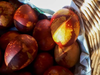 Ev yapımı geleneksel Paskalya yumurtası boyası. Farklı yapraklar, bitkiler ve çiçekler kullanarak. Yaprak desenli yumurtalar ve güneş ışığında çiçekler.