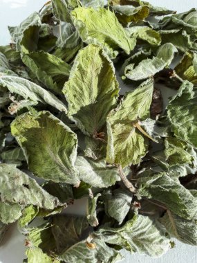 Kurutulmuş nane çayı yapraklarının beyaz arka planda güneş ışığında yakın plan görüntüsü. Yeşil çay. Kurumuş yapraklar arka plan