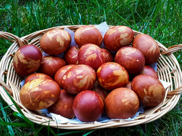 Doğal bitkilerle süslenmiş Paskalya yumurtaları ve çiçek çiçekleri ve yeşil çimenlerdeki dokuma sepetinde kaynatılmış soğan kabukları. Kahverengi yumurtaların üzerinde bitki deseni oluşturmanın geleneksel yolu