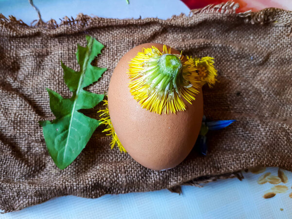 Home made traditional Easter egg coloring by using different leaves, plants and flowers. Egg on marl with flowers and leaves prepared for decorating and boiling in onion peels