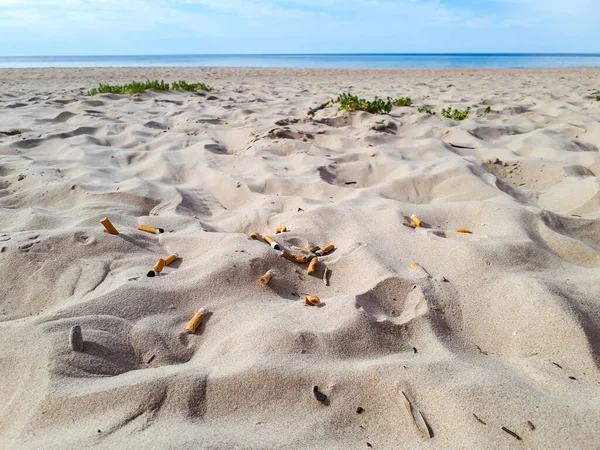 Baltık sahilindeki beyaz kumsalda sigara izmaritleri. Arka planda su, kumsaldaki zehirli plastik kirliliği temsil ediyor. Dünyanın en dağınık plastik parçası. Plaj kirliliği