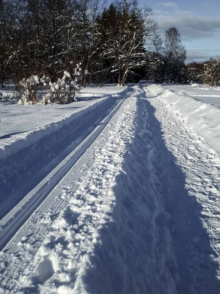 A cross-country ski track forms curved trail that disappears into the distance between trees. The parallel lines of the groomed path, deeply indented ski tracks on a beautiful winter day