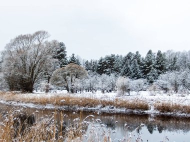 Güzel, ilham verici, gri bir göl manzarası ve karla kaplı ağaçlar karanlık sulardaki yansımalarla çevrili bitki örtüsü.