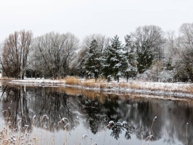Güzel, ilham verici, gri bir göl manzarası ve karla kaplı ağaçlar karanlık sulardaki yansımalarla çevrili bitki örtüsü.