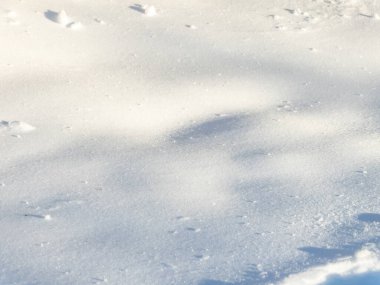 Soyut ve desenli beyaz, parlak ve ışıltılı kar arkaplanı güneş ışığında. Kış manzarası