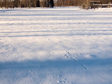 Karla kaplı zemin ve kar yağdıktan sonra kar altında bir hayvanın ayak izleri.