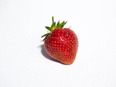 Taze ve olgun çilek beyaz, izole bir zemin üzerinde, parlak güneş ışığında, bir gölgeyle. Güzel ve detaylı botanik geçmişi