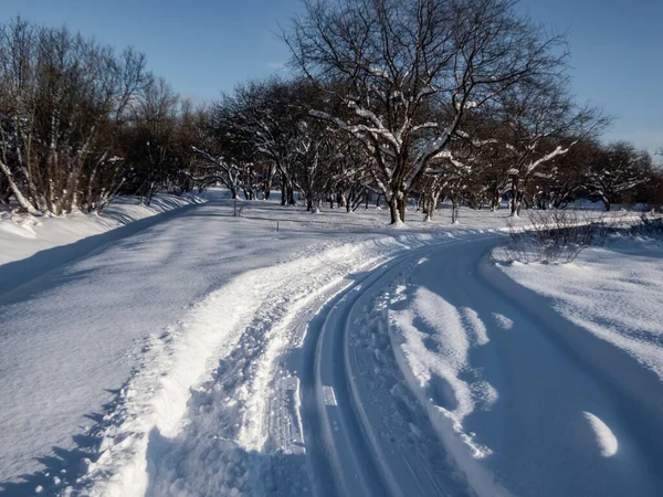 A cross-country ski track forms curved trail that disappears into the distance. The parallel lines of the groomed path, deeply indented ski tracks on a beautiful winter day