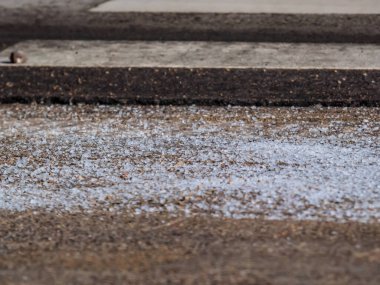 Macro shot of salt grains on icy sidewalk surface in the winter. Applying salt to keep roads clear and people safe in winter weather from ice or snow, closeup view. clipart