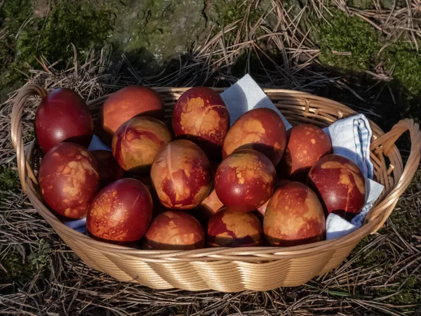 Uova Pasqua Decorato Con Piante Naturali Fiori Bollito Cipolle Bucce — Foto Stock