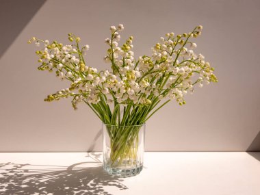 Camdaki vadideki zambak buketi parlak güneş ışığında beyaz arka planda izole edilmiş. Zarif retro çiçekli arka plan. Vadideki Zambak çiçekleri (Convallaria majalis)