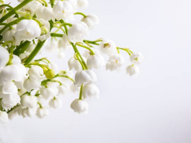 Tatlı kokulu, çan şeklinde, vadideki Zambak 'ın (Convallaria majalis) tatlı kokulu beyaz çiçekleri beyaz arka planda, parlak güneş ışığında izole edilmiştir. Zarif çiçek arkaplanı