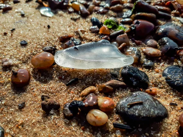 Beyaz deniz camından makro çekim ve Baltık sahilinin kumlarında fiziksel ve kimyasal olarak yıpranmış pürüzsüz kenarları olan küçük çakıl taşlarının birikmesi.