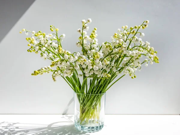 Bouquet of lily of the valley in the glass isolated on white background in bright sunlight. Delicate floral background. Pendent, bell-shaped white flowers of Lily of the valley (Convallaria majalis)