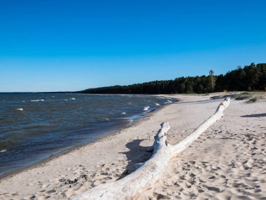 Plaj ve Baltık deniz manzarası beyaz kum, açık mavi gökyüzü ve açık güneşli bir günde koyu mavi deniz suyu