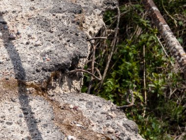 Açık havada görünen metal parmaklıkları olan güçlendirilmiş beton bir köprünün yapısal hasarları.
