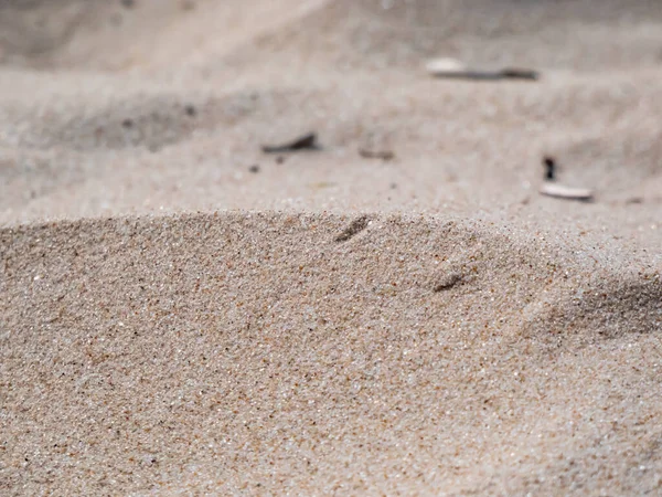 Macro Shot Sable Fin Blanc Sur Plage Ensoleillée Mer Baltique — Photo