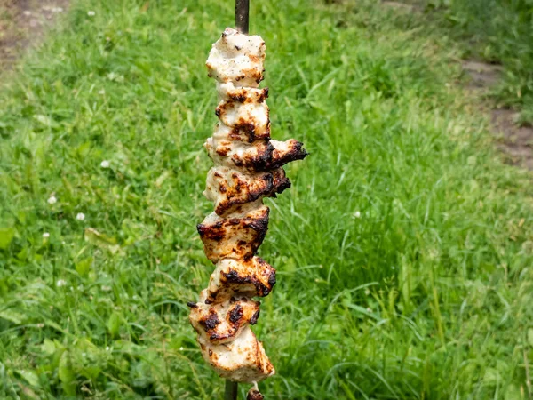 Shashlik Eller Shashlyk Bitar Kycklingkött Metallspett Grillas Brand Grill Vertikalt — Stockfoto