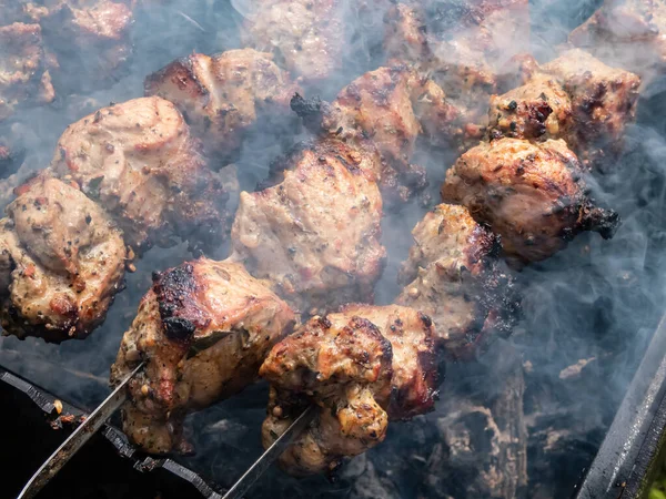 Macro Tipos Diferentes Carne Espetos Metálicos Porco Suculento Frango Que — Fotografia de Stock