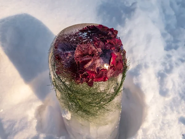 Flor Água Congelada Rosa Gelo Decorações Livre Inverno Jardim Diy — Fotografia de Stock