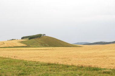 alan dağlık manzara buğday bulutlu gökyüzü yaz