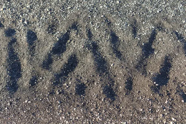 doku tekerlekli ayak ayak izi yeryüzünde