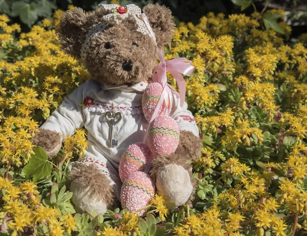 Osito de peluche con huevos de Pascua —  Fotos de Stock