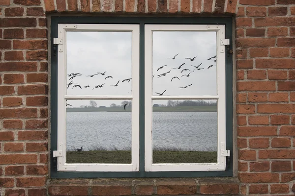 The window on the nature — Stock Photo, Image