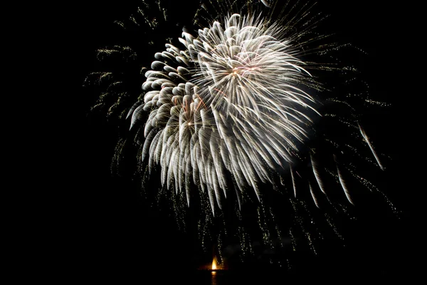 Firework — Stock Photo, Image