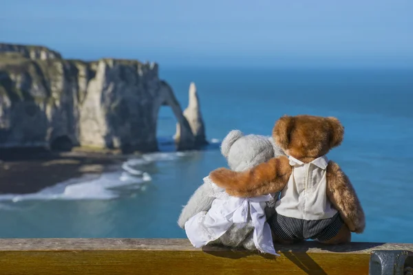 Sevgi dolu oyuncak ayı