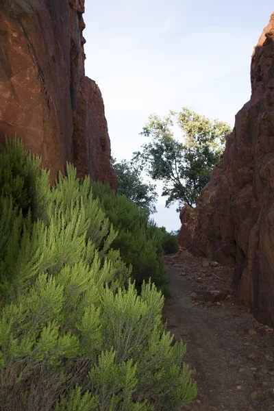 Schlucht — Stockfoto