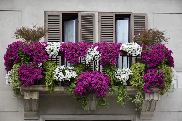 Blomstrande balkong — Stockfoto