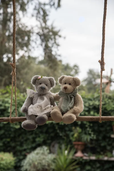 Teddy bear in liefde Rechtenvrije Stockafbeeldingen