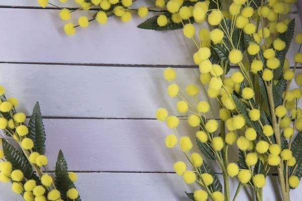 8 mars bakgrund — Stockfoto