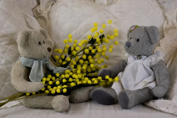 Teddy bear's eight of march — Stock Photo, Image