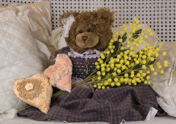 Teddy bear 8 marca — Zdjęcie stockowe