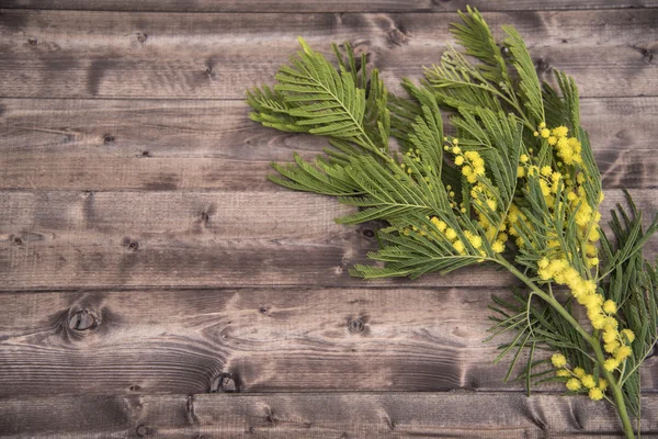 Mart 8, kadının tatil!