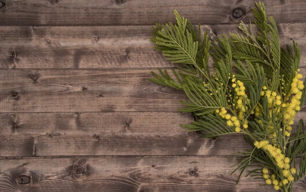 Mart 8, kadının tatil!