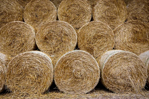 Dry Straw Bales Texture Folded Circles — Stock Photo, Image