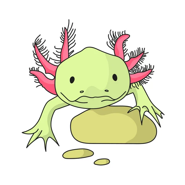 Mexikanska Axolotl Isolerad Vit Bakgrund Mexico Country Stock Symbol Vektorillustration — Stock vektor