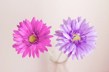 Pastel vintage renk ve yumuşak odak ile yapay çiçek