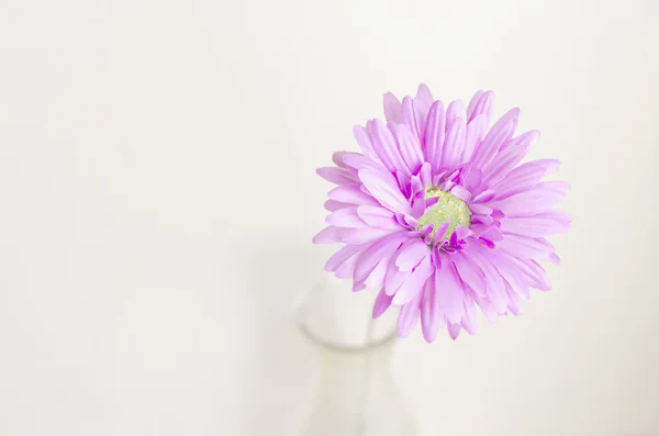 Pastell künstliche Blume in Flasche mit Vintage-Farbe — Stockfoto