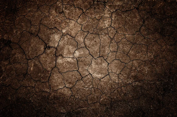 土地の干ばつによって乾燥感 — ストック写真