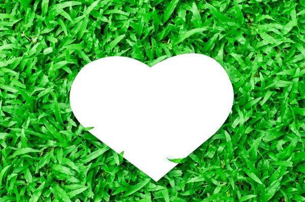 Leeres weißes Herzpapier auf grünem Glashintergrund — Stockfoto