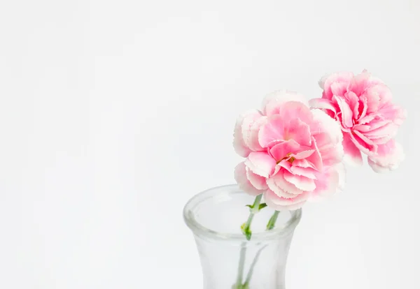 Rosa Blume in der Vase mit Platz für Text und Arbeitsweg — Stockfoto