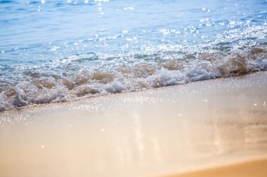 Güzel okyanus ve plaj