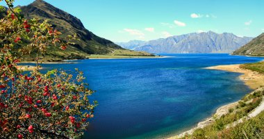 New Zealand natural scenes clipart
