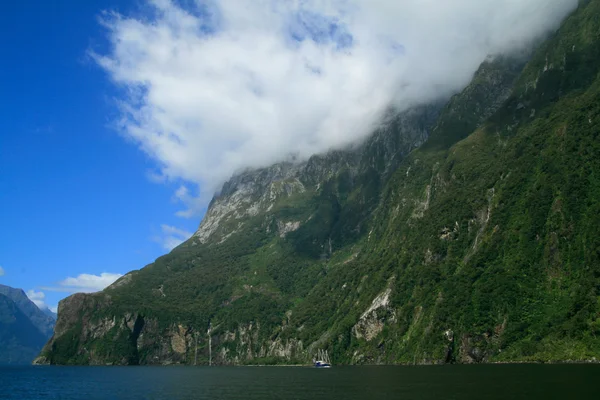 Escenas naturales de Nueva Zelanda — Foto de Stock
