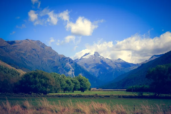 Escenas naturales de Nueva Zelanda — Foto de Stock