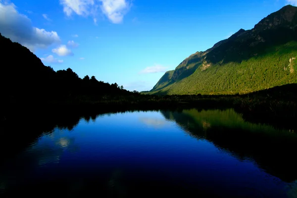 Escenas naturales de Nueva Zelanda — Foto de Stock